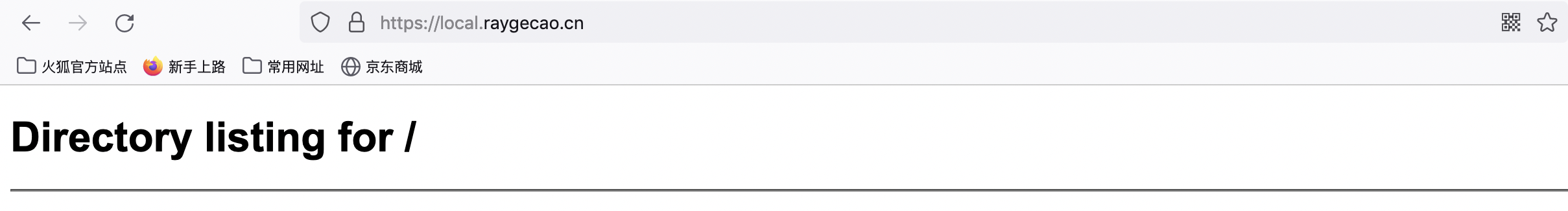 /posts/go-https-cert/security.png